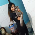 kitten for sale
