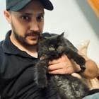 kitten for sale