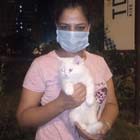 kitten for sale