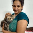 kitten for sale
