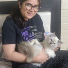 kitten for sale