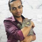 kitten for sale