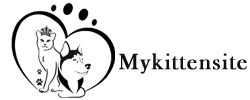 cats for sale