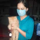 kitten for sale
