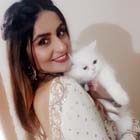 kitten for sale